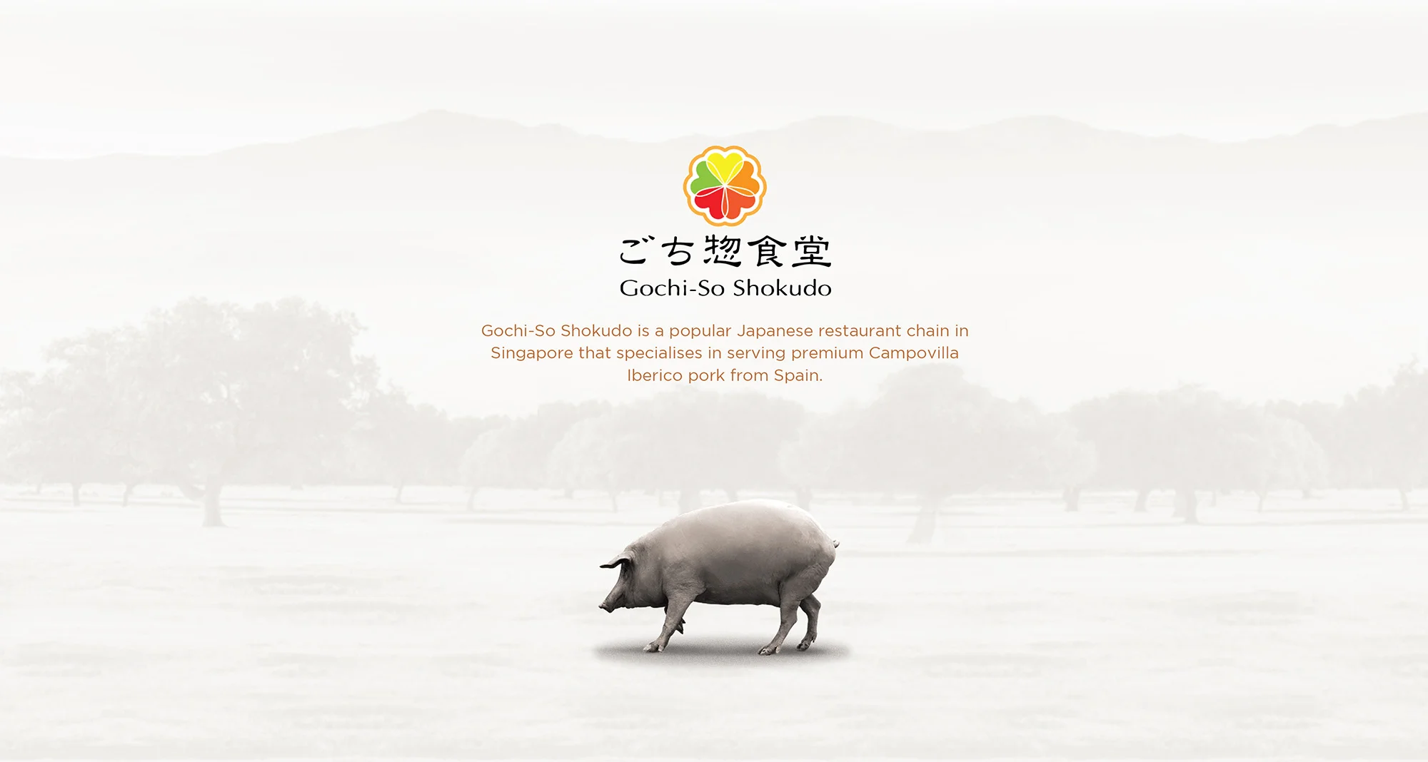 Gochi-So Shokudo logo and A Free Ranging Iberian Pig