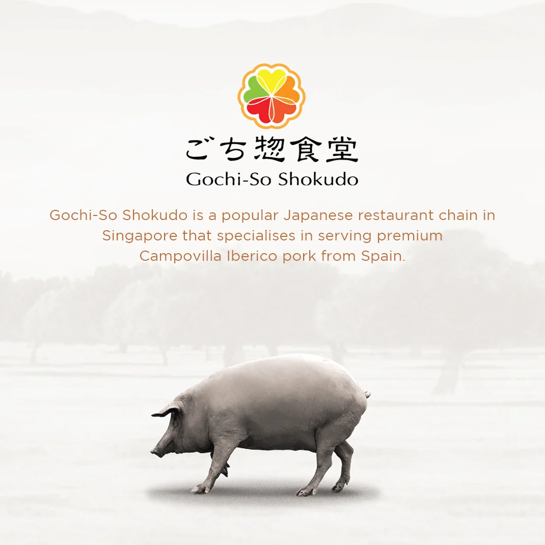 Gochi-So Shokudo logo and A Free Ranging Iberian Pig